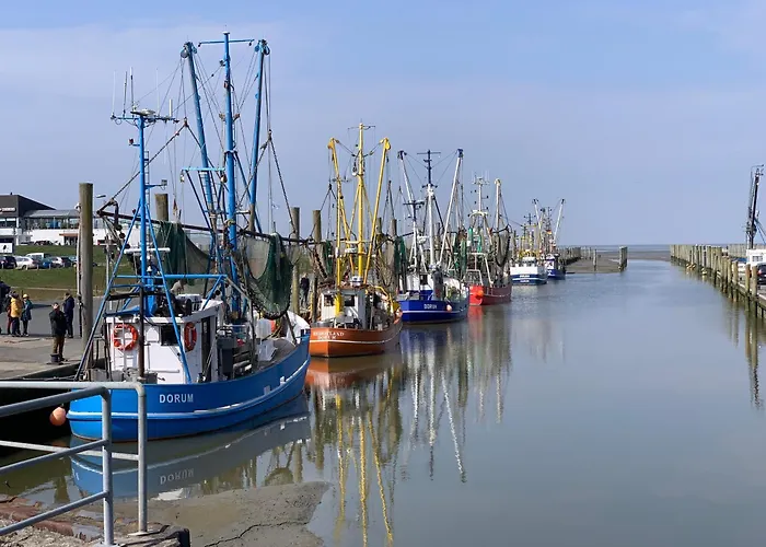 Dorumer Sielhuus 20 Mit Sauna Und Balkon Lejlighed *